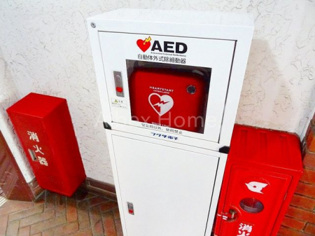 ̑@AED