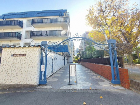 �G���g�����X�@-