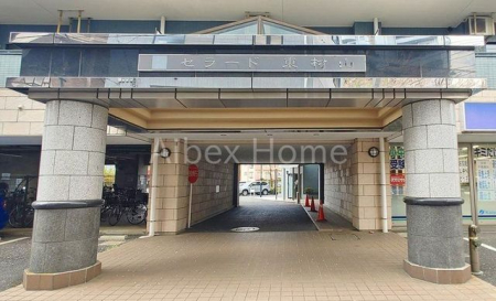 �G���g�����X�@-