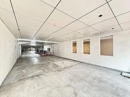 �G���g�����X�@-