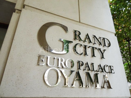 �G���g�����X�@-