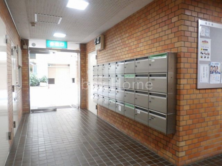 �G���g�����X�@-