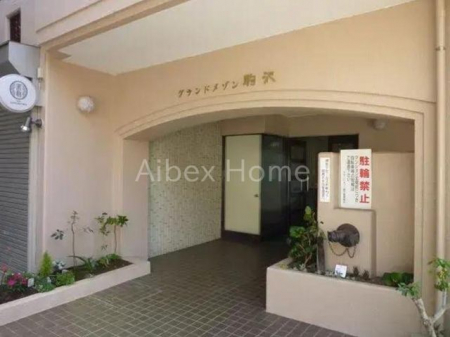 �G���g�����X�@-