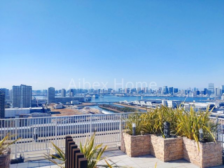 ���̑��@�X�J�C�e���X