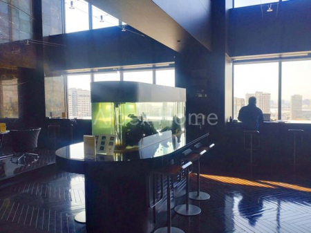 ���̑��@���E���W