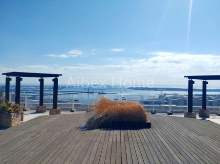 ���̑��@�X�J�C�e���X