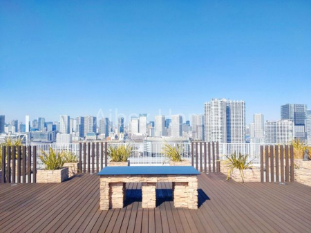 ���̑��@�X�J�C�e���X