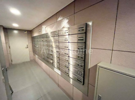 �G���g�����X�@-