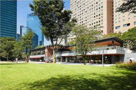 ���̑��@�V�h��������