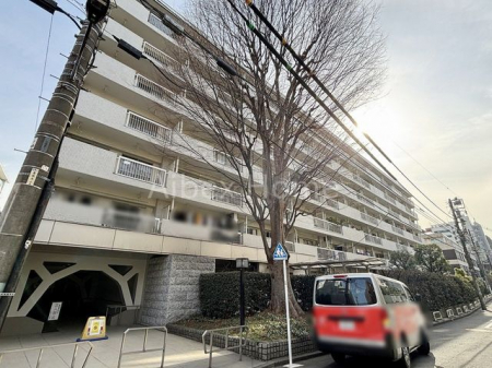 ���ʑ�E���ʏ��@-