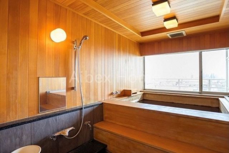 ���̑��@�w���C