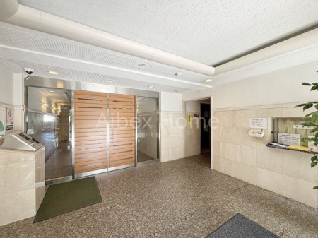 �G���g�����X�@-