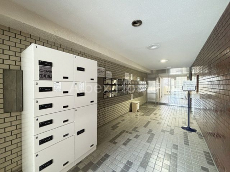 �G���g�����X�@-