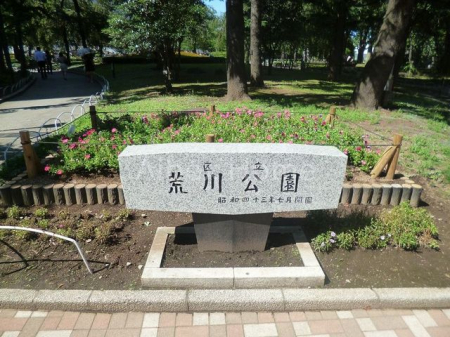 ���̑��@�r���������