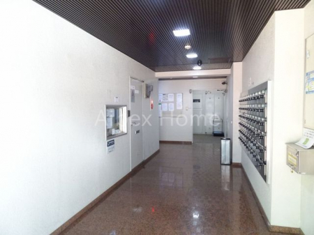 �G���g�����X�@-