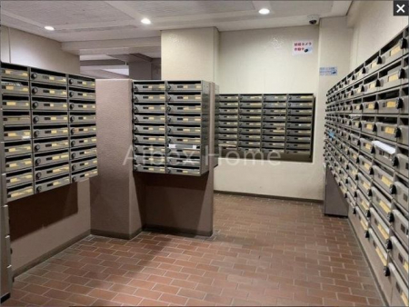 �G���g�����X�@-