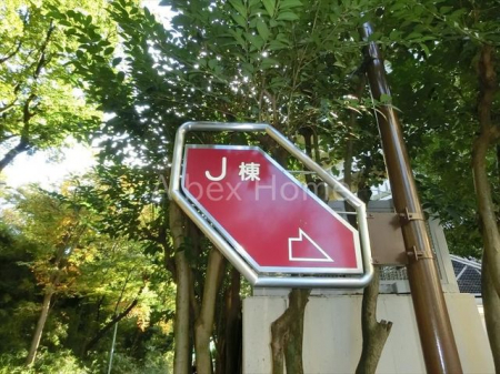 �G���g�����X�@-