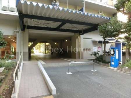 �G���g�����X�@-