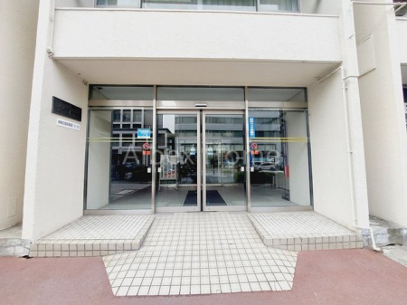 �G���g�����X�@-