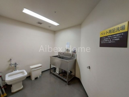 ���̑��@�y�b�g���􂢏�