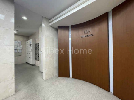 �G���g�����X�@-