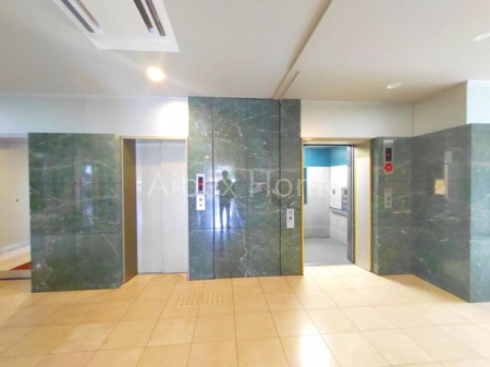 �G���g�����X�@�G���x�[�^�[�O