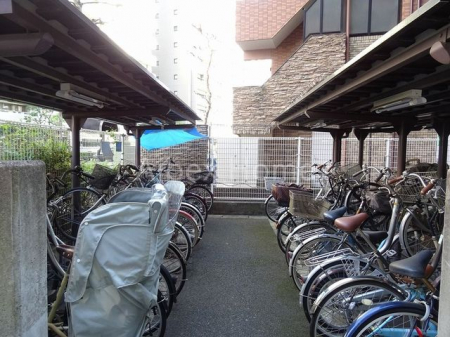 ���̑��@���L����