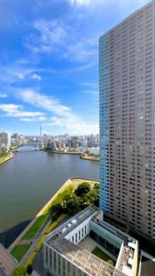 ���̑��@�X�J�C�c���[�r���[