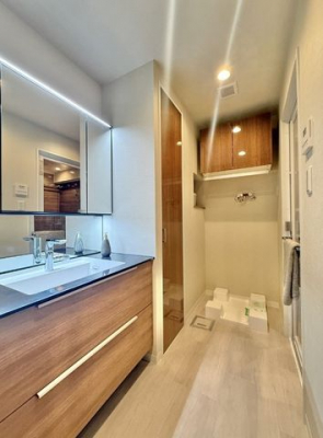 ���ʑ�E���ʏ��@-