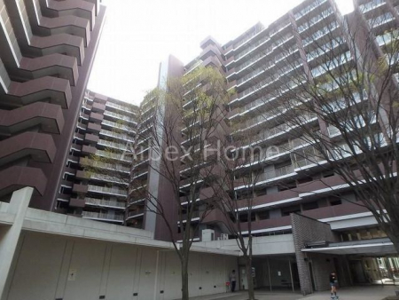 ���n�O�ώʐ^�@�O��