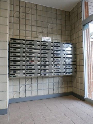 �G���g�����X�@-