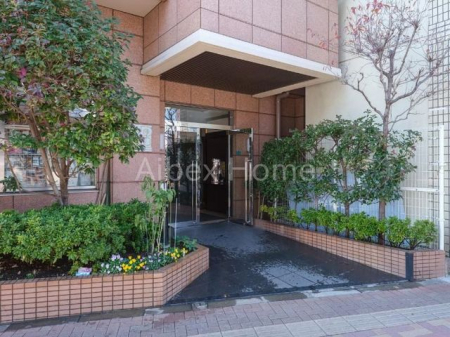 �G���g�����X�@-