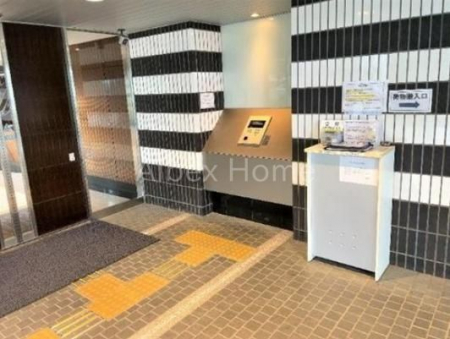 �G���g�����X�@-