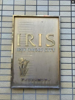 �G���g�����X�@-