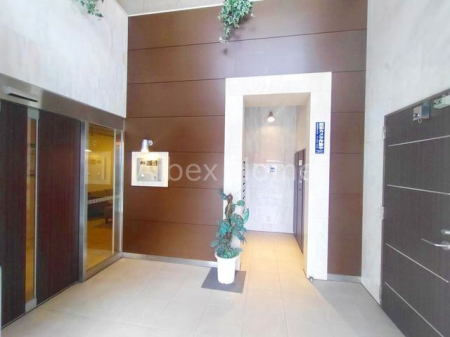 �G���g�����X�@-