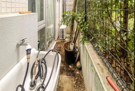 �o���R�j�[�@-