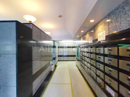 �G���g�����X�@-