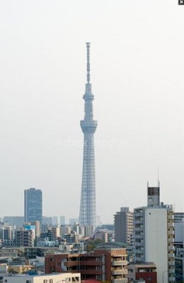 ���̑��@�X�J�C�c���[�r���[