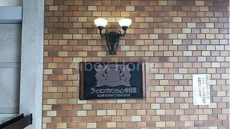 �G���g�����X�@-