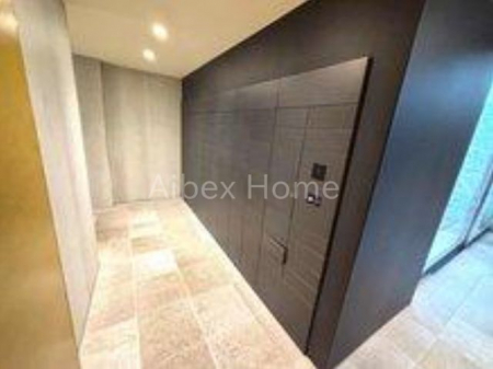 ���̑��@�G���g�����X