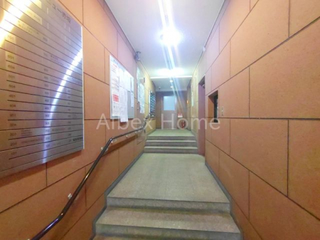 �G���g�����X�@-