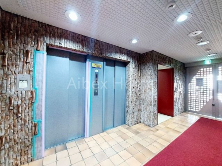 �G���g�����X�@-