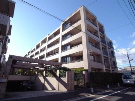 ���n�O�ώʐ^�@�O��