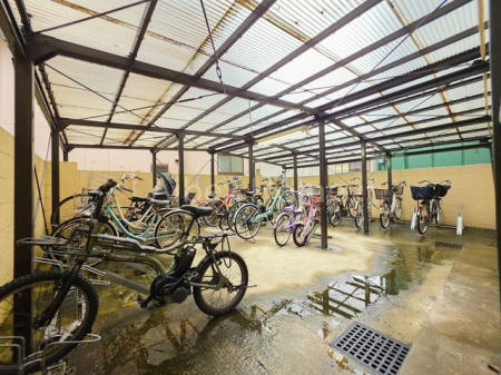 ���̑��@-