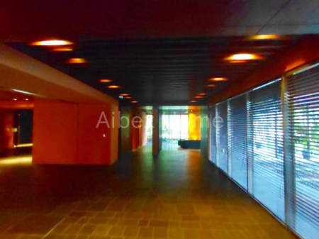 �G���g�����X�@-